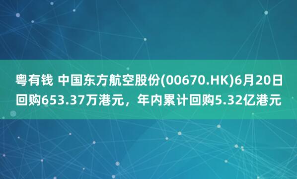 粤有钱 中国东方航空股份(00670.HK)6月20日回购653.37万港元，年内累计回购5.32亿港元