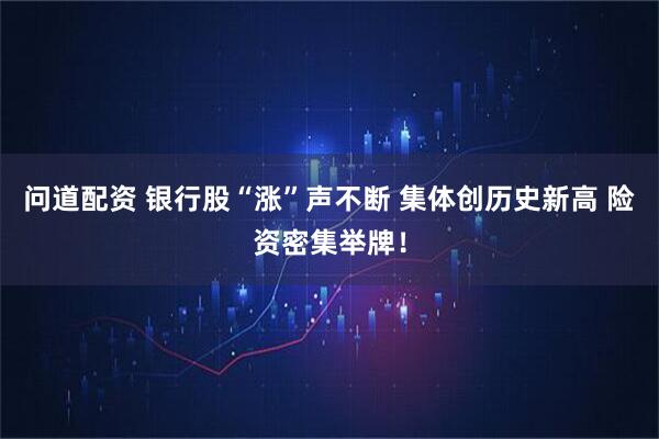问道配资 银行股“涨”声不断 集体创历史新高 险资密集举牌！