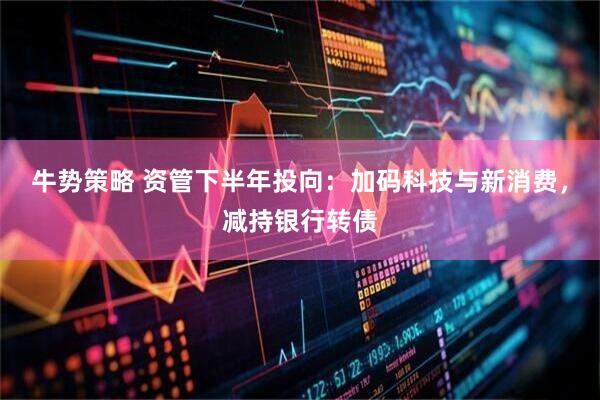 牛势策略 资管下半年投向：加码科技与新消费，减持银行转债