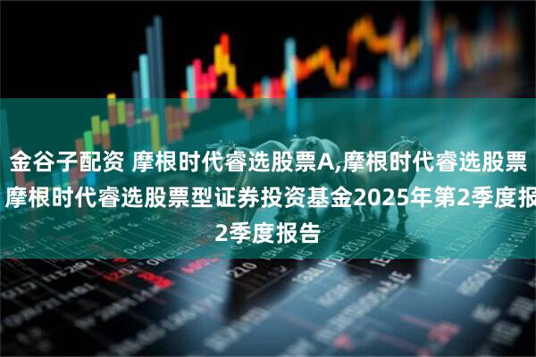 金谷子配资 摩根时代睿选股票A,摩根时代睿选股票C: 摩根时代睿选股票型证券投资基金2025年第2季度报告