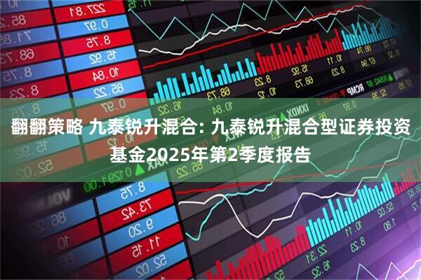 翻翻策略 九泰锐升混合: 九泰锐升混合型证券投资基金2025年第2季度报告