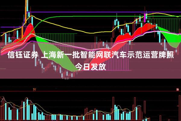 信钰证券 上海新一批智能网联汽车示范运营牌照今日发放
