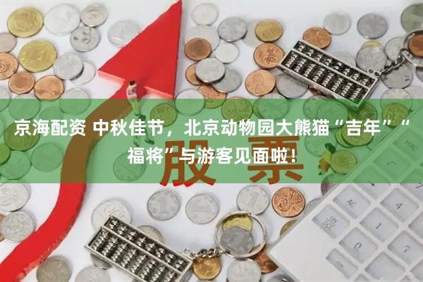 京海配资 中秋佳节，北京动物园大熊猫“吉年”“福将”与游客见面啦！
